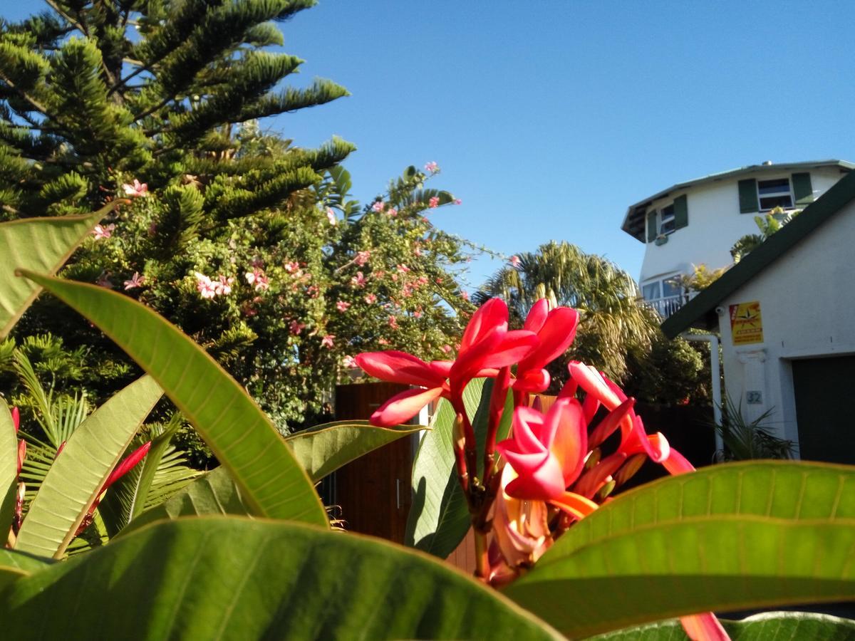 Cape Oasis Guesthouse Блуберґстранд Екстер'єр фото